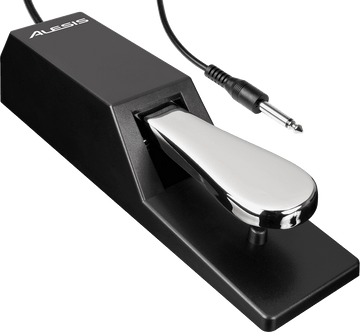 Sustainpedaal pianotype