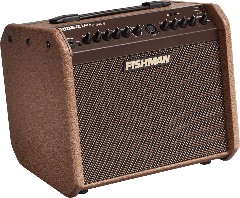 LOUDBOX MINI CHARGE AMPLIFIER