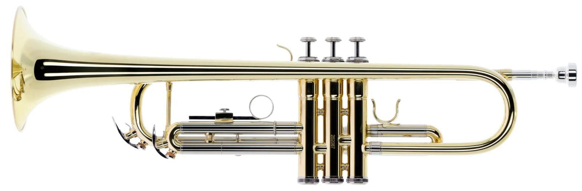 WTP200 - Bb vernist