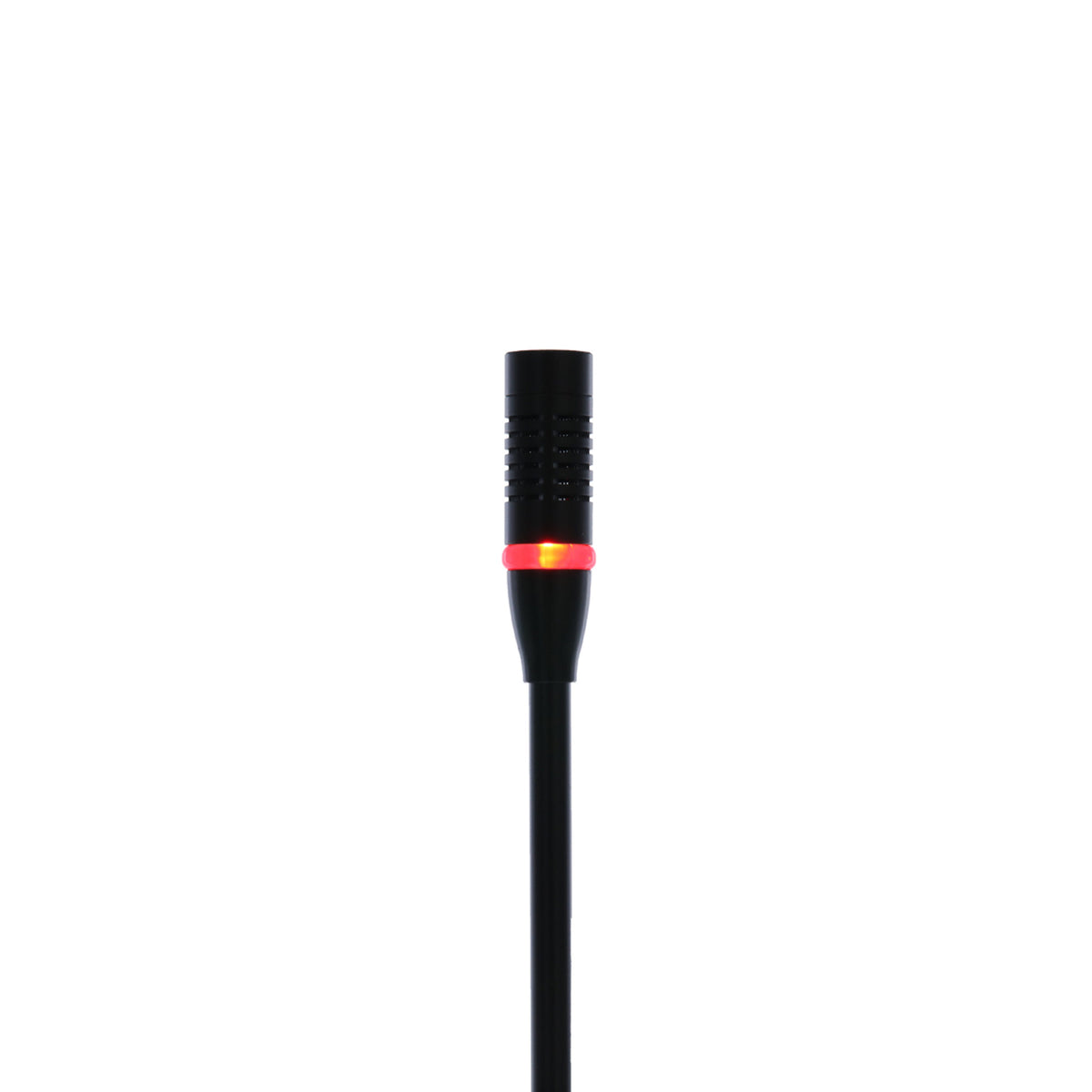 SC 404
