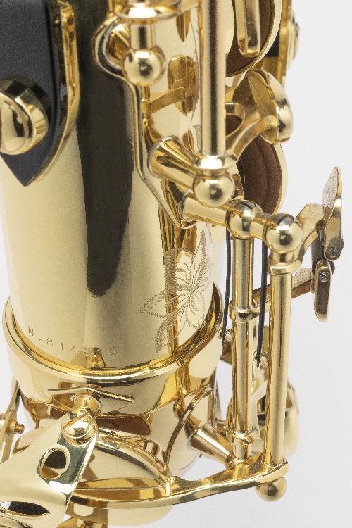 Axos - Bes-Tenor Gelakt