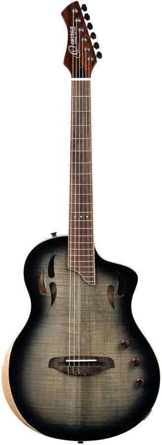 TourPlayer 4/4 + professionele tas