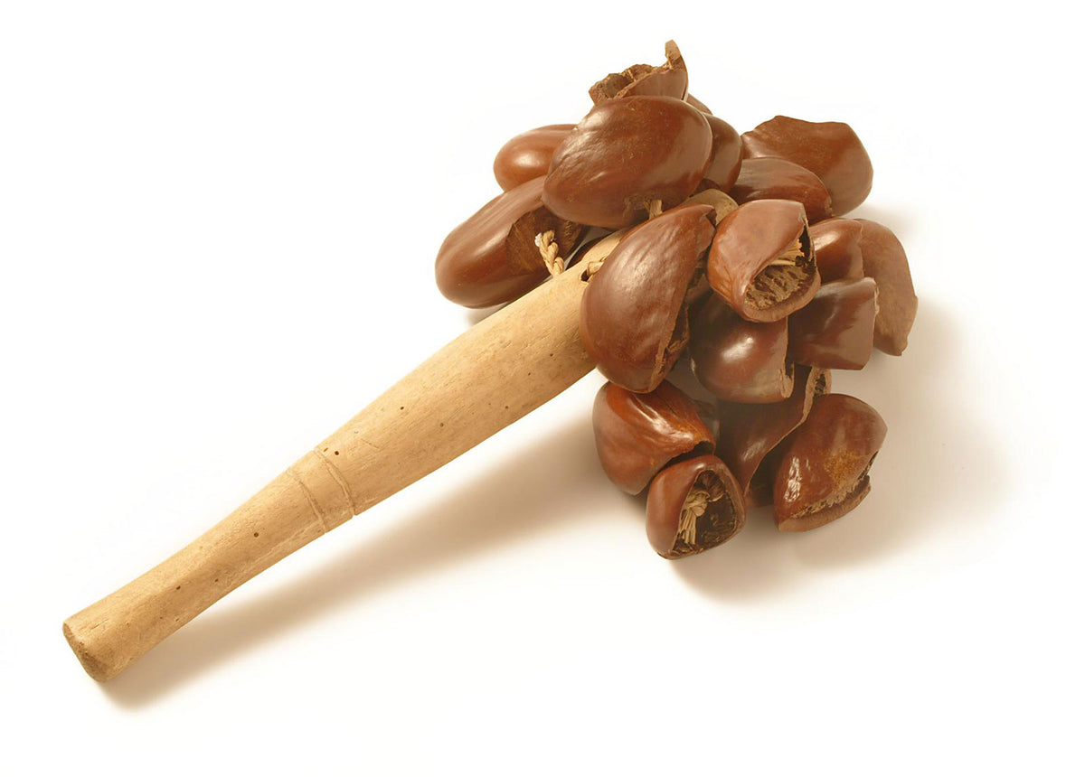Yoman MPP009 - SHAKER DJUDJU - COLA NUTS HANDLE