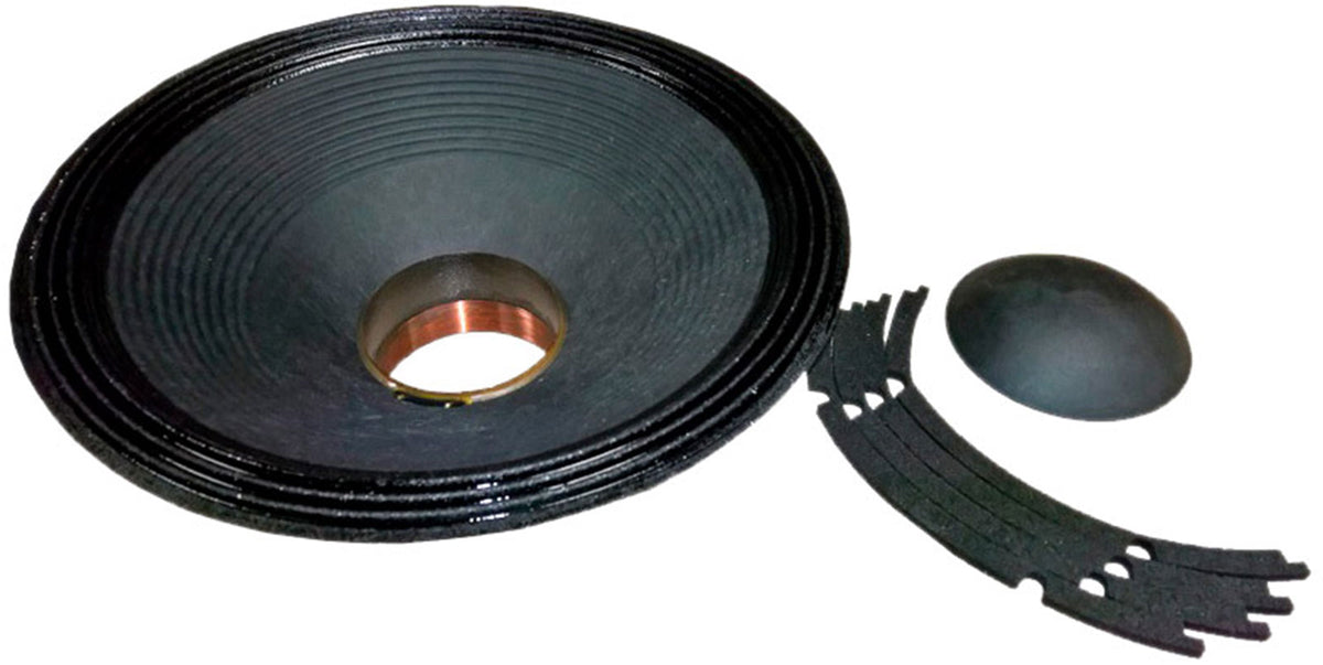 B&C Speakers Recone-kit 15SW115 8 Ohms