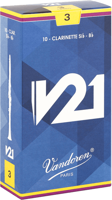 V21 3