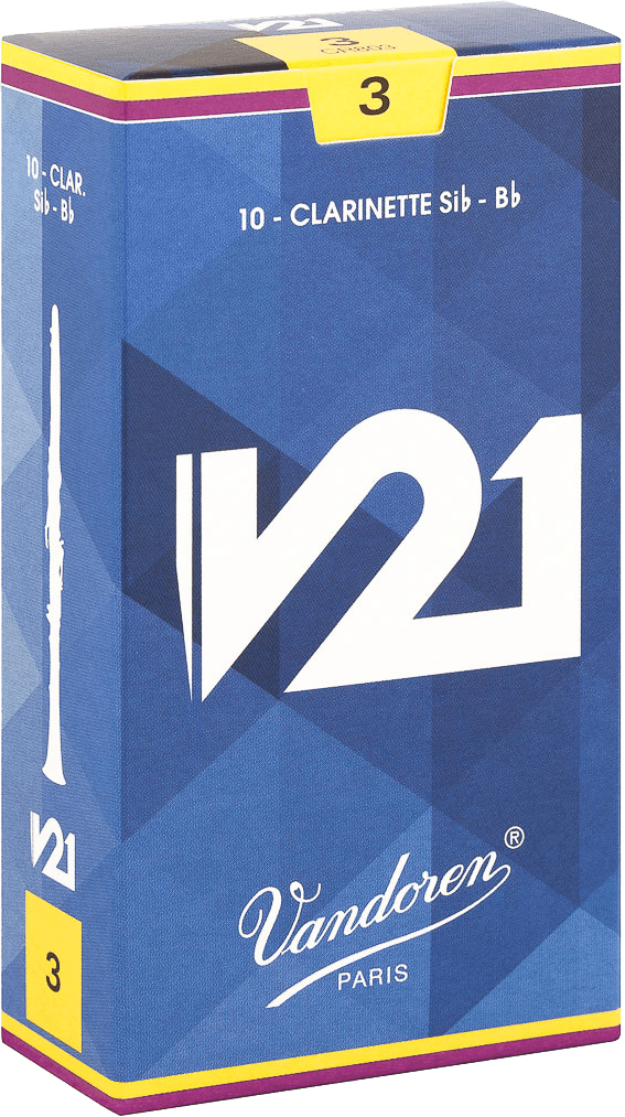 V21 3