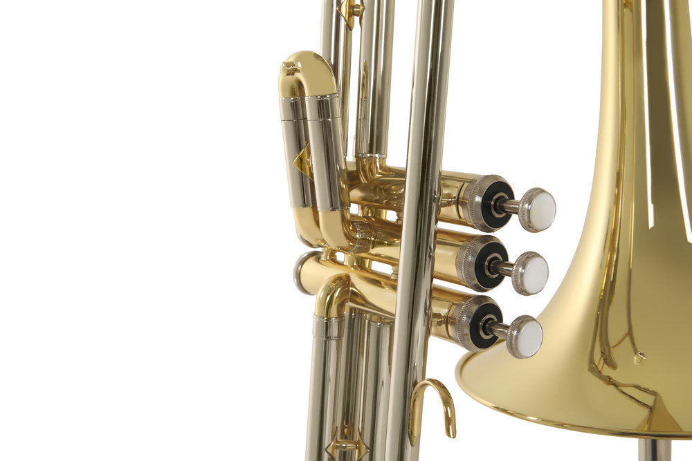 Ambition VT501 Tenor Bes gelakt