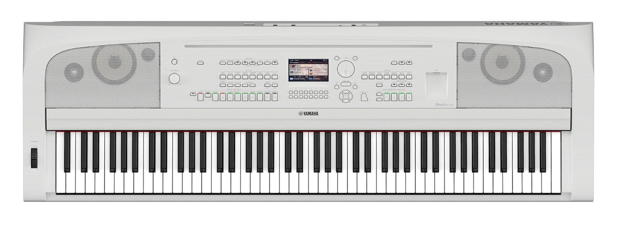 DGX-670 wit