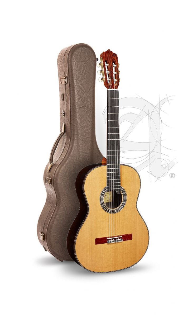 Professional Luthier Linea Profesional + 9650 Bam Iconic Case