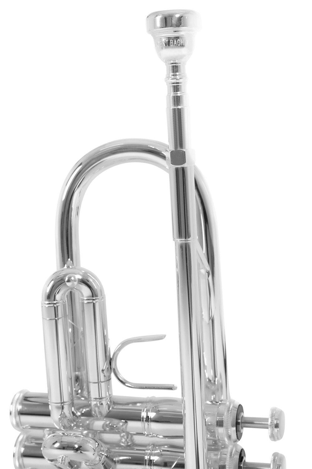 TR450S - Bes Verzilverde