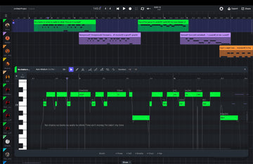 Artist Pro 2.0 Levenslang