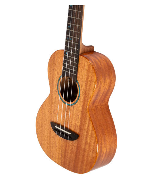 Iris Tinta Tenor NA