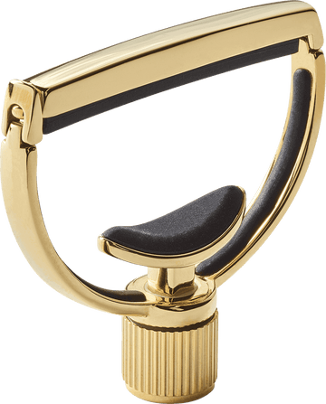 Heritage Gitaar Style 1 Breed Goud