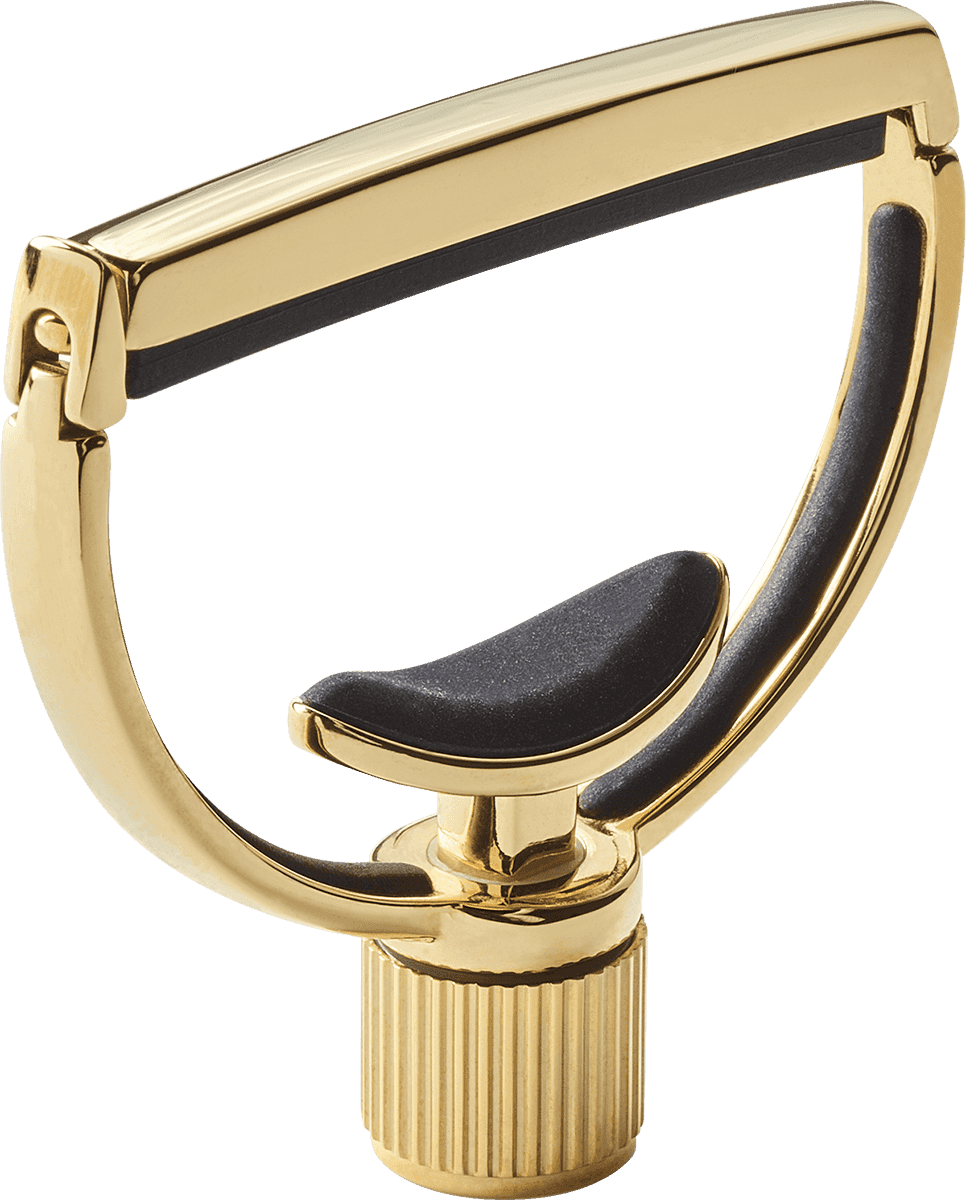 Heritage Gitaar Style 1 Breed Goud