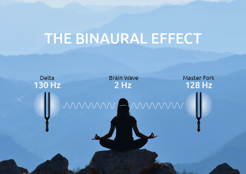 TTF-DELTA - Binaurale therapie-stemvork Delta 130 Hz