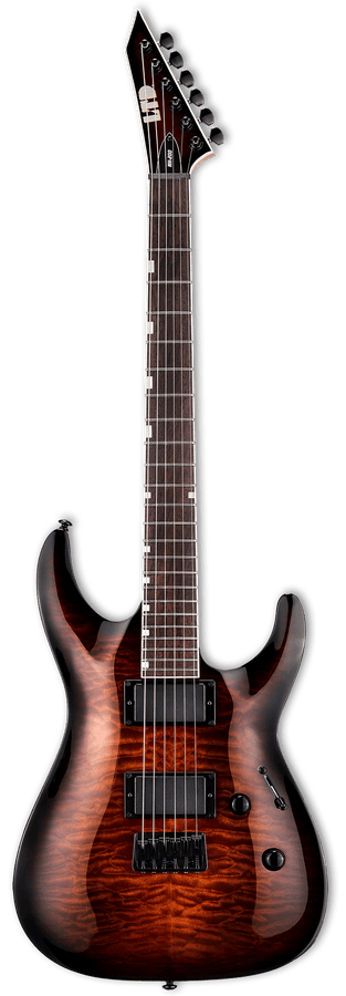 MH-200 HT QM Donkerbruine Sunburst