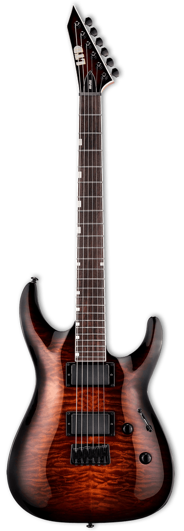 MH-200 HT QM Donkerbruine Sunburst