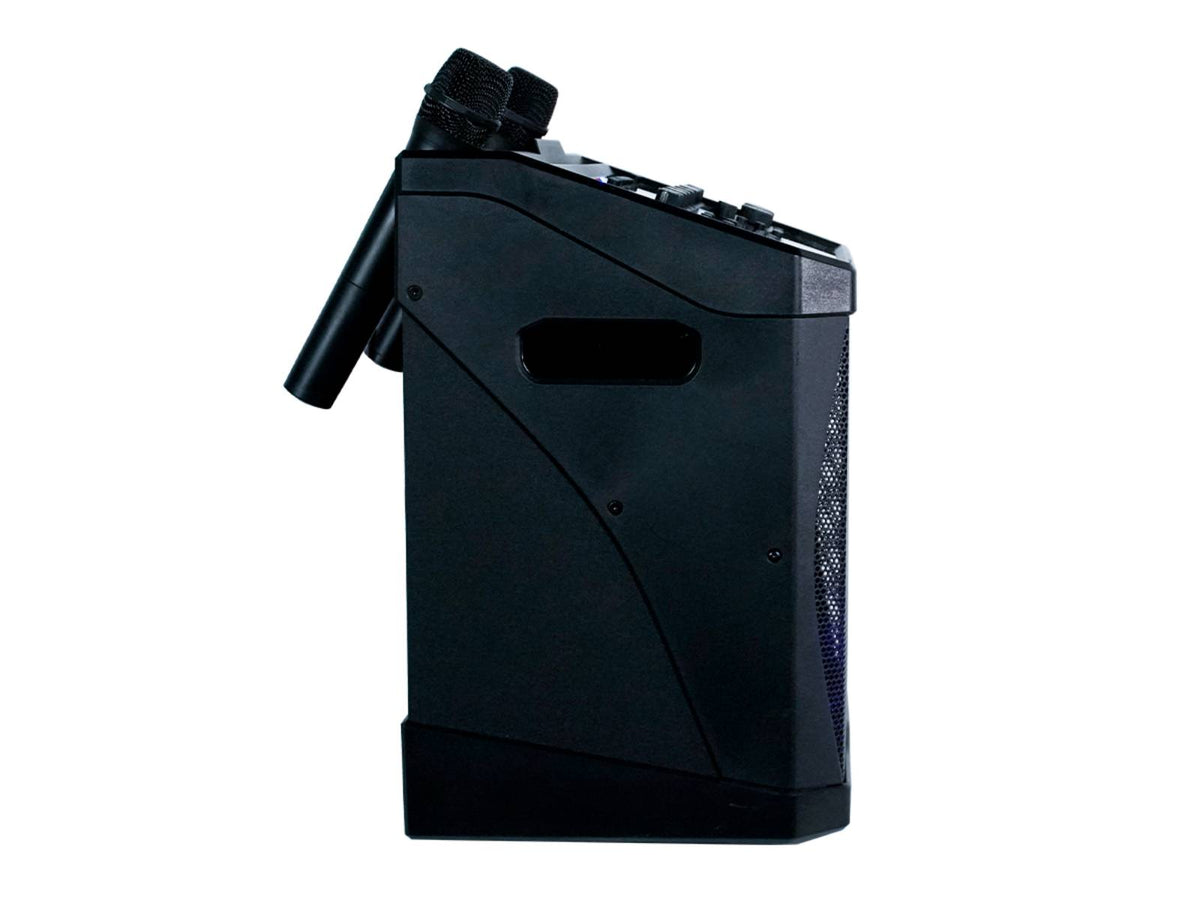KP800-pro - Karaokesysteem 160W