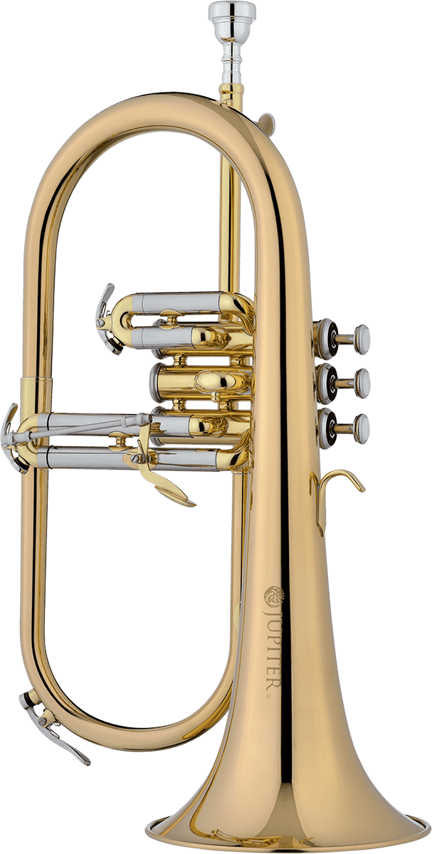 Jupiter 1100RQ - VARNISHED BB + HORN PINK COPPER
