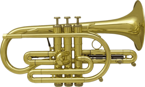 ETERNA 800 CLEAR LACQUER
