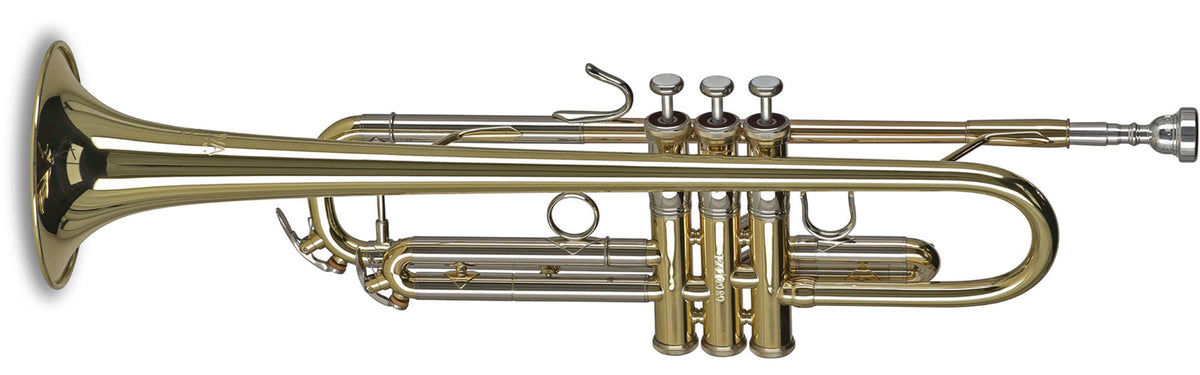 Vision TR272 Bes Gelakt