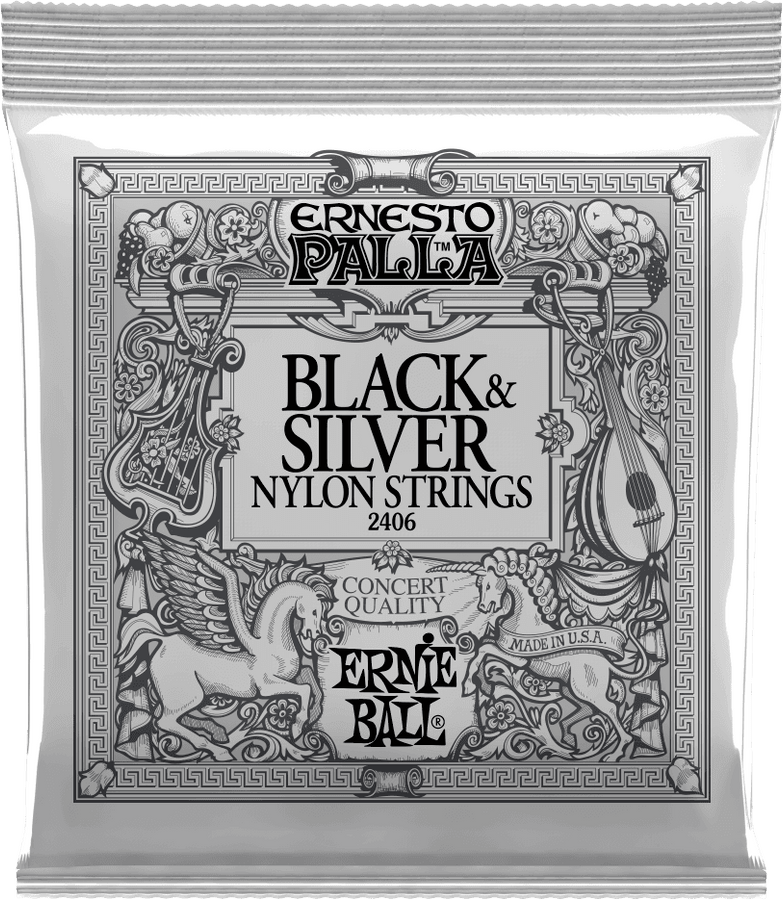 ERNESTO PALLA CLEAR SILVER 2406