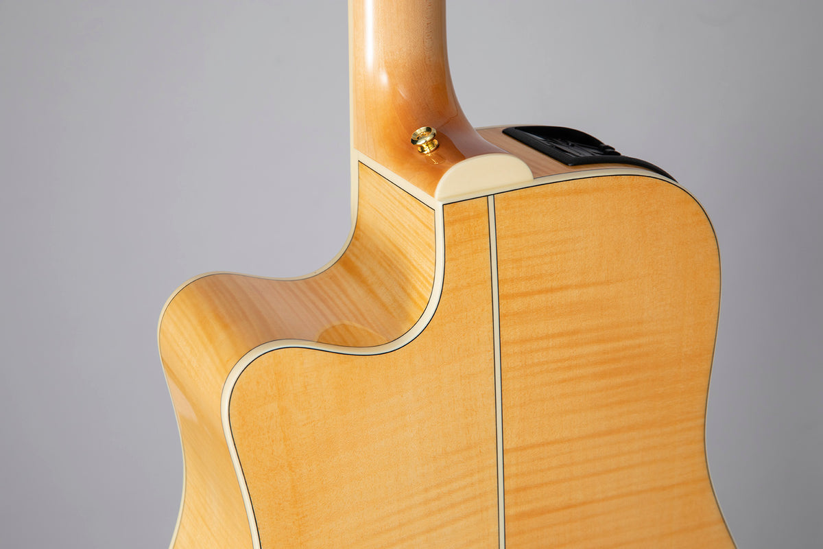 GD74CE-12 Dreadnought Snaren Naturel