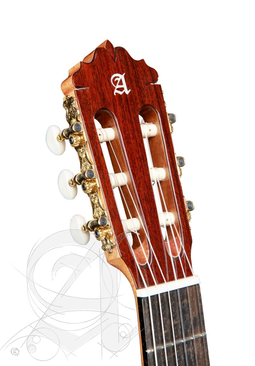 Conservatory 6 Olivo + 9738 25mm Gigbag