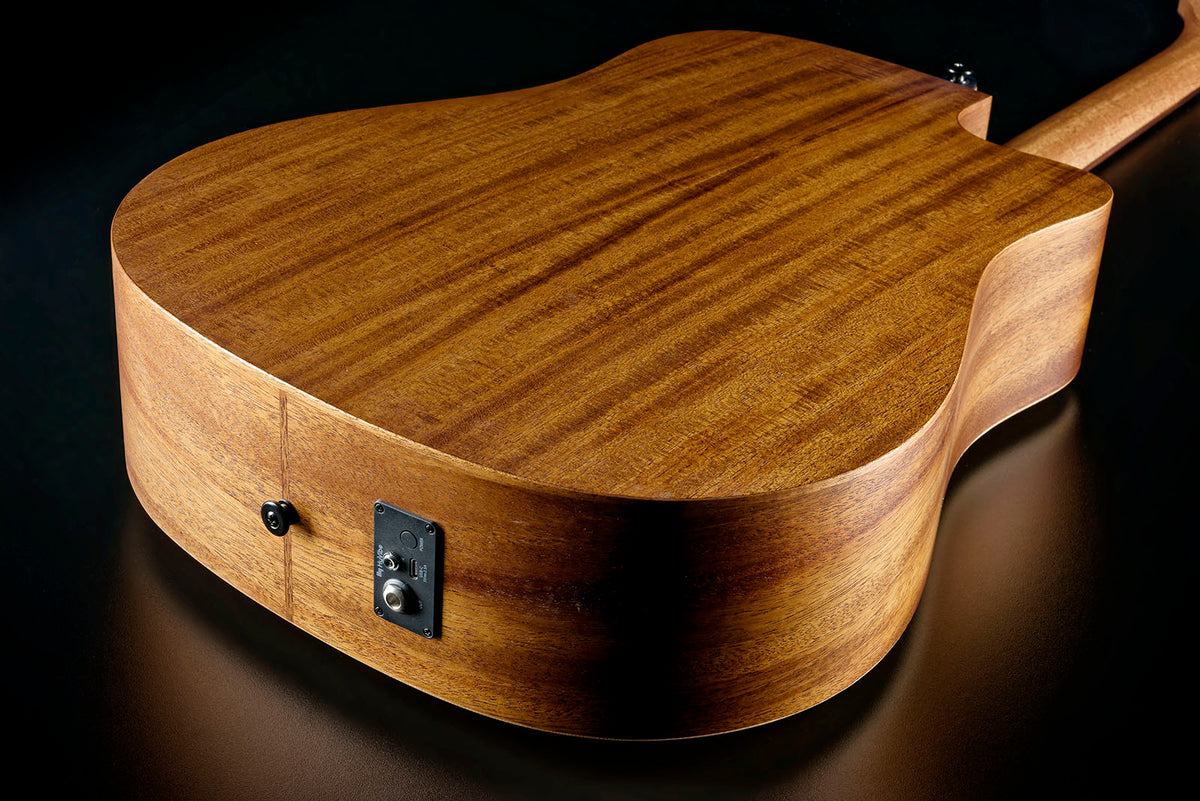 HyVibe 2 Serie 10 Dreadnought Linkshandig CW