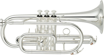 YCR4330GSII Bes Verzilverde