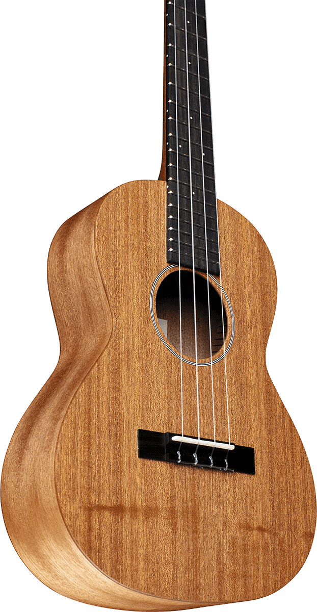 Ukelele T1