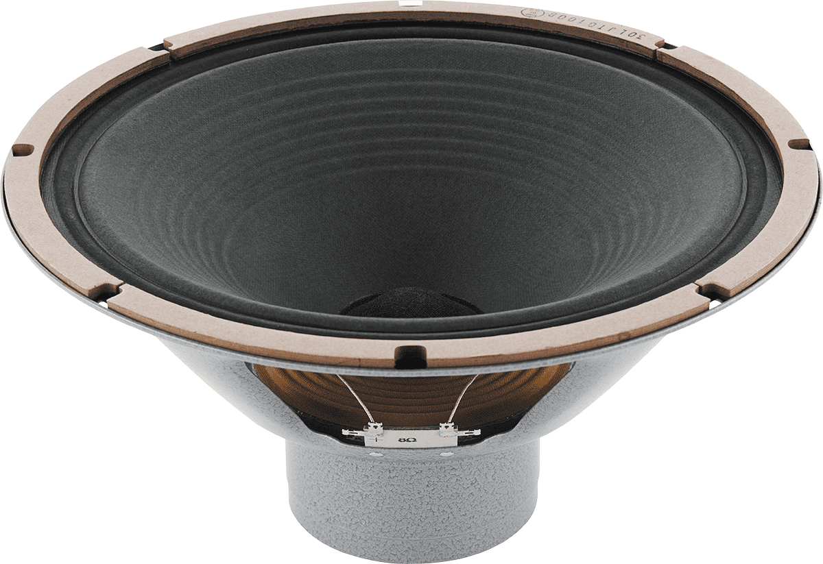 G12 100 8 Ohms