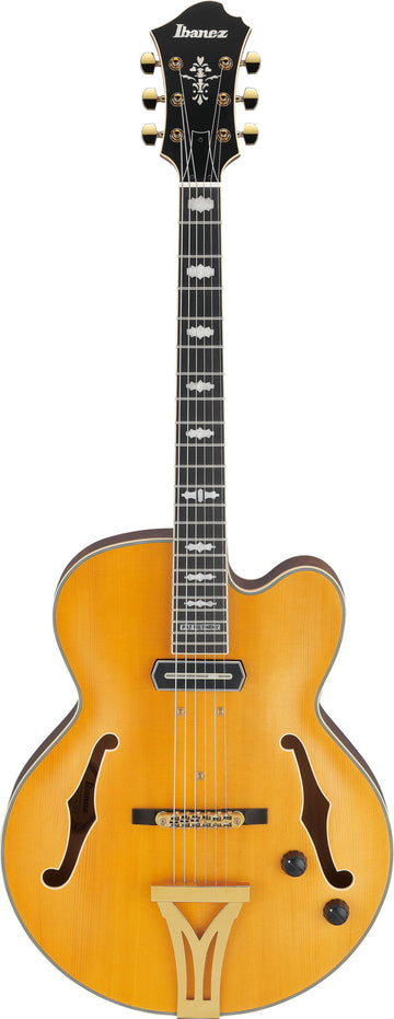 PM3C Signature Pat Metheny Naturel Amber Laagglans