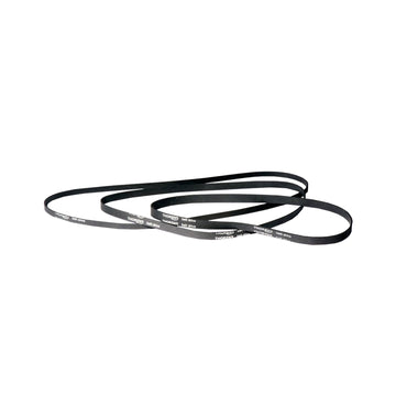 STANDARD BELT