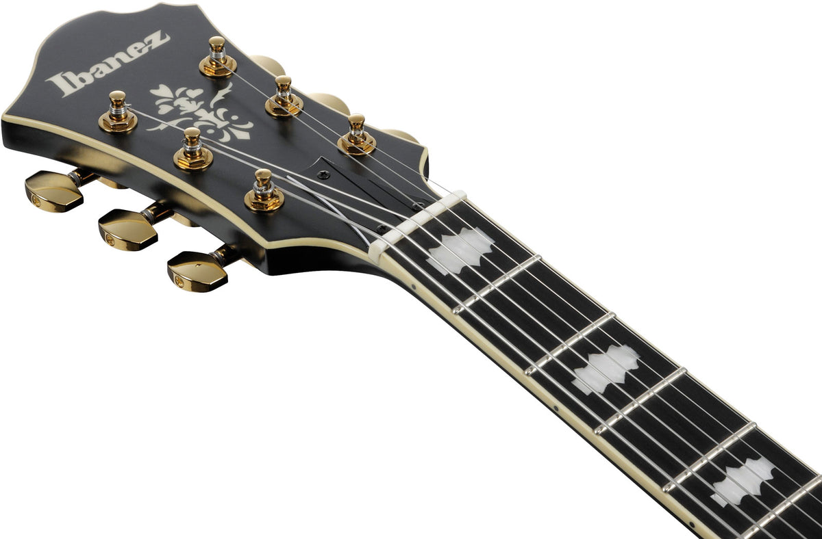 PM3C Signature Pat Metheny Zwart Laagglans