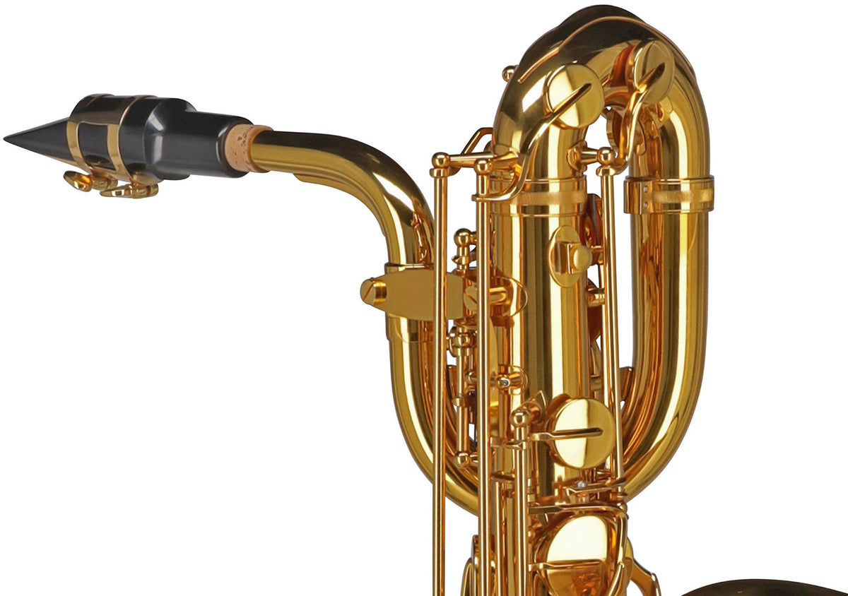 Ambition BS650 Es Gelakt