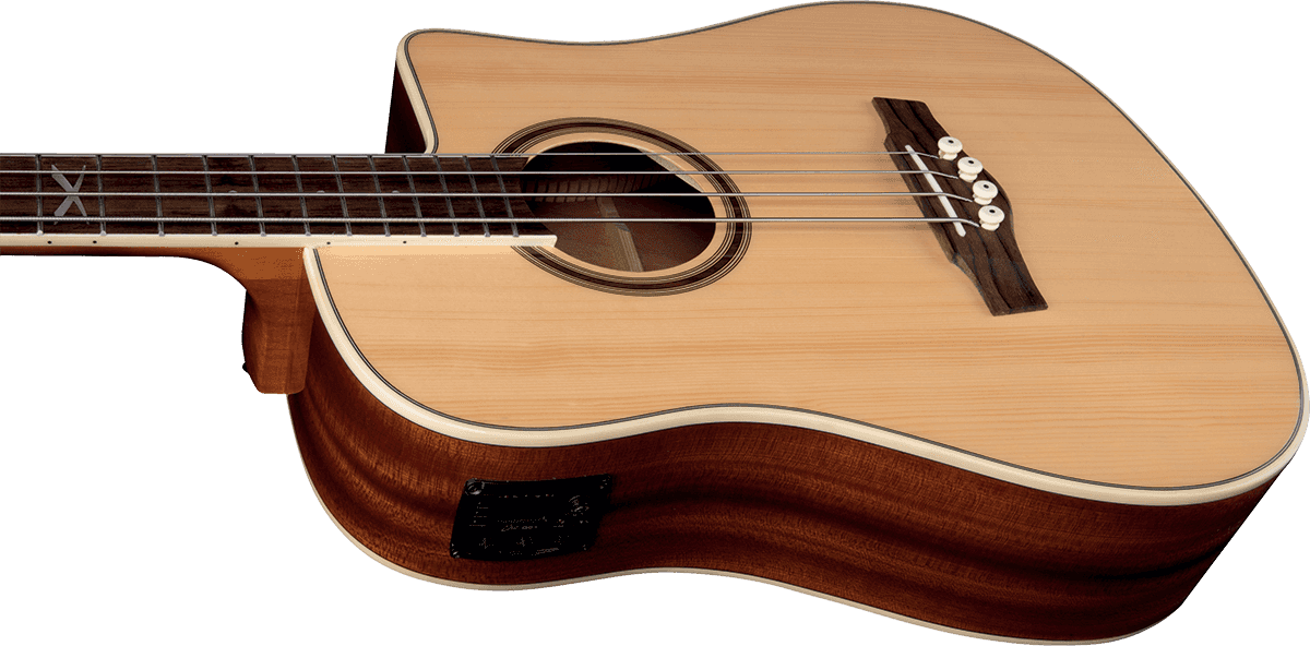 NXT B100ce Dreadnought Naturel