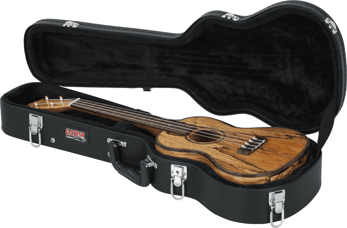 Koffer Tenor-ukelele Van Hout - GWE