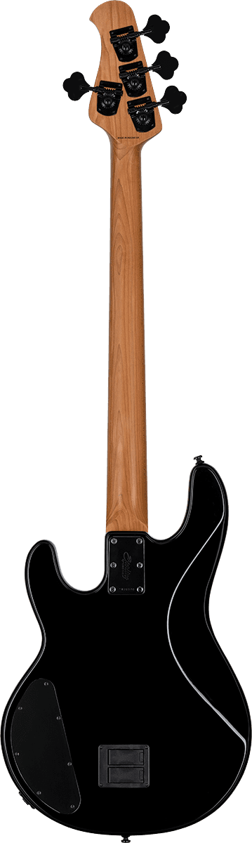 Dark Ray Stingray Met Darkglass-elektronica