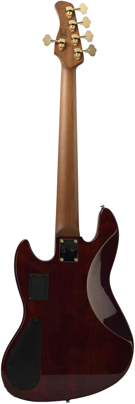 V10 DX Swamp Ash-5 FL TS MN + Koffer