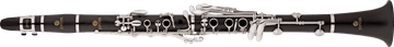JCL1100DS