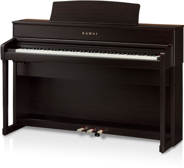 CA701 Palisander