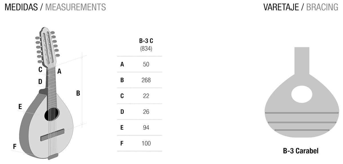 Student 3C Bandurria + 9531 Gigbag