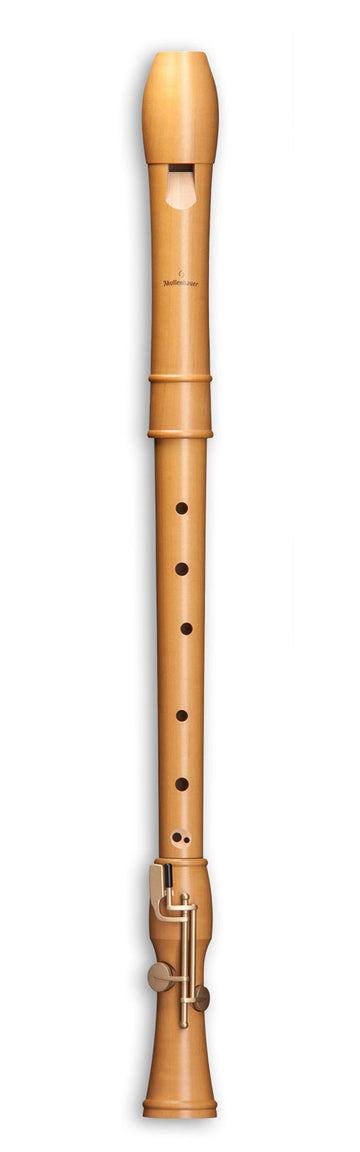 Canta Tenor 2446 - Perenhout (Barokvingerzetting)
