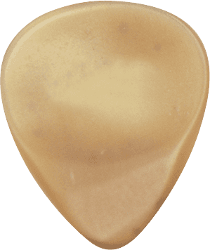 GUITAR  HORN