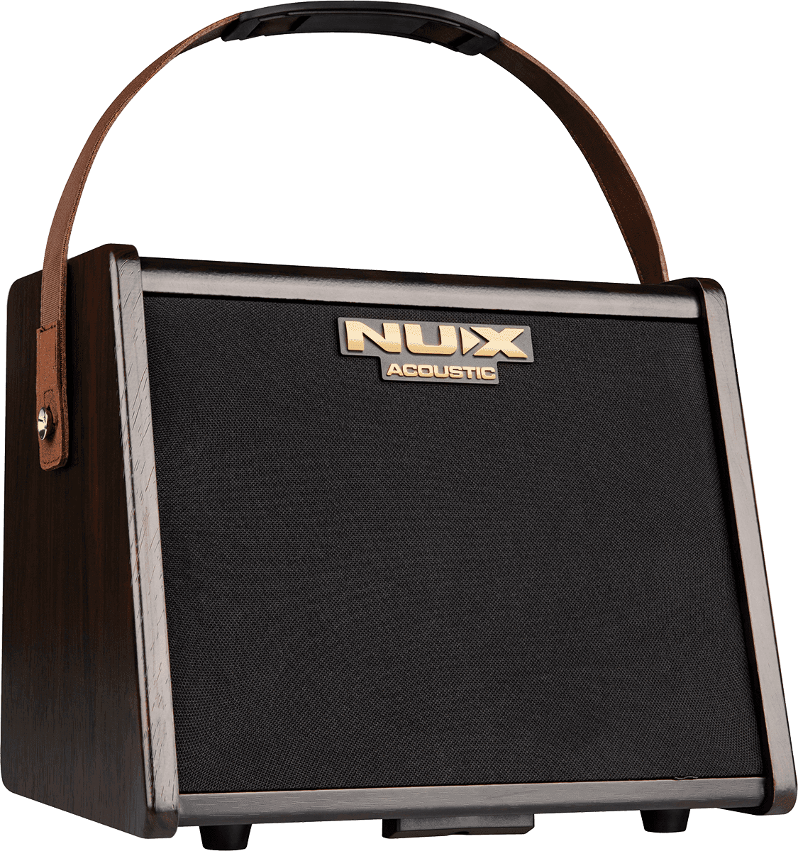 25 WATT ACOUSTIC AMP ON 2 CHANNEL BATTERY + EFFECTS