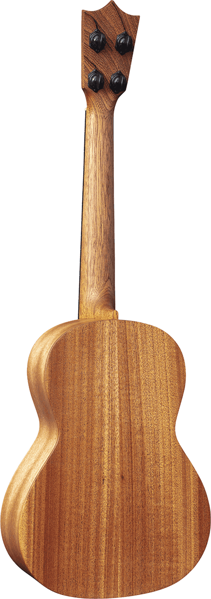 Ukelele T1