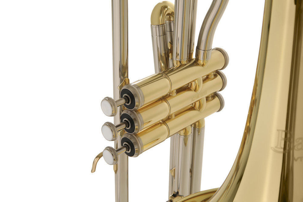Ambition VT501 Tenor Bes gelakt