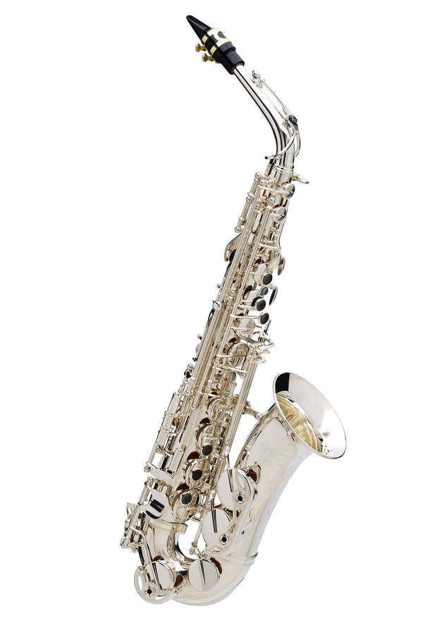 Senzo Verzilverde - BC2525-2-0