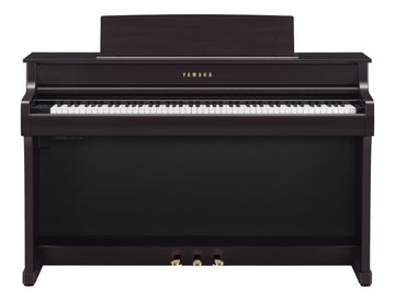 CLP-845 Palisander